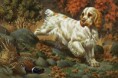 /album/historia/portrait-of-a-clumber-spaniel-hunting-walter-a-weber-jpg/