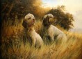 /album/historia/clumber-spaniel-limited-edition-print-rmle6-225-p-jpg/